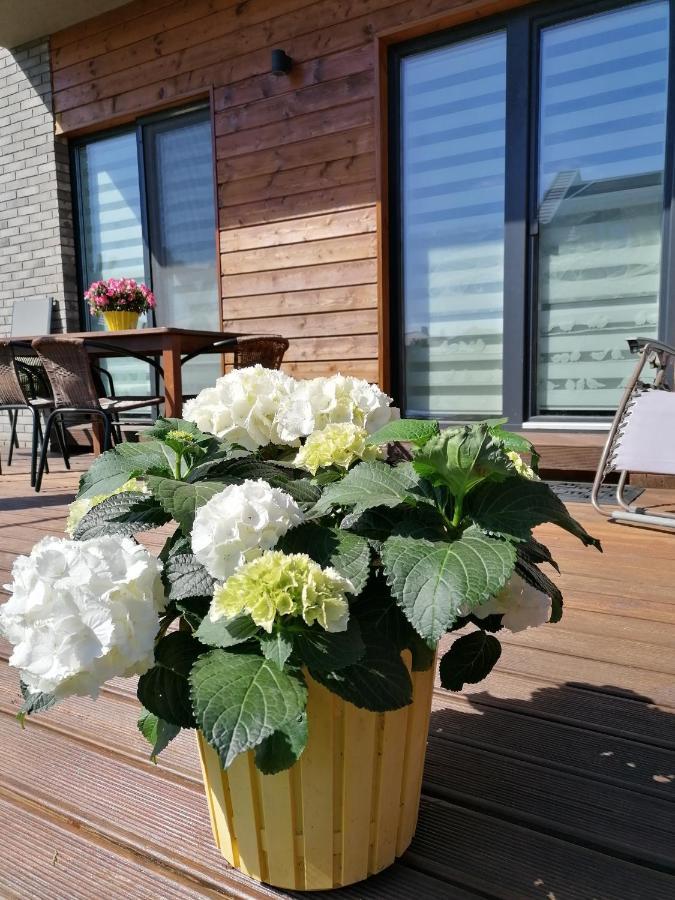Geltoni Apartamentai พาลังกา ภายนอก รูปภาพ